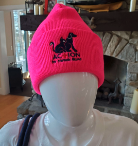 Winter Hat